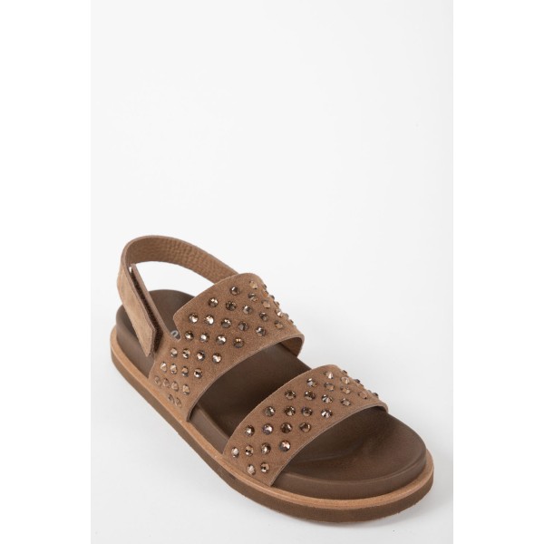 BIO 21649 FARRO