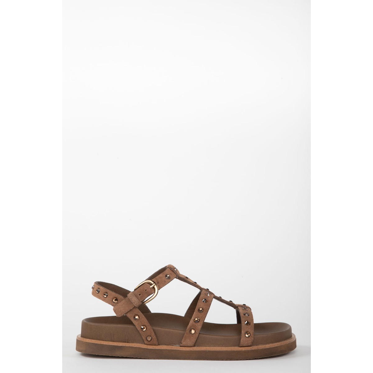 BIO 22050 FARRO