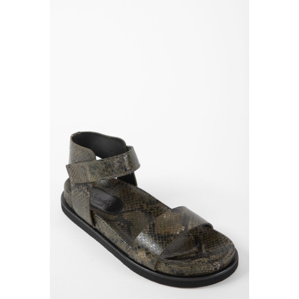 BIO 22084 BOTANIC
