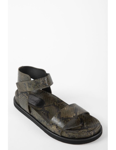 BIO 22084 BOTANIC