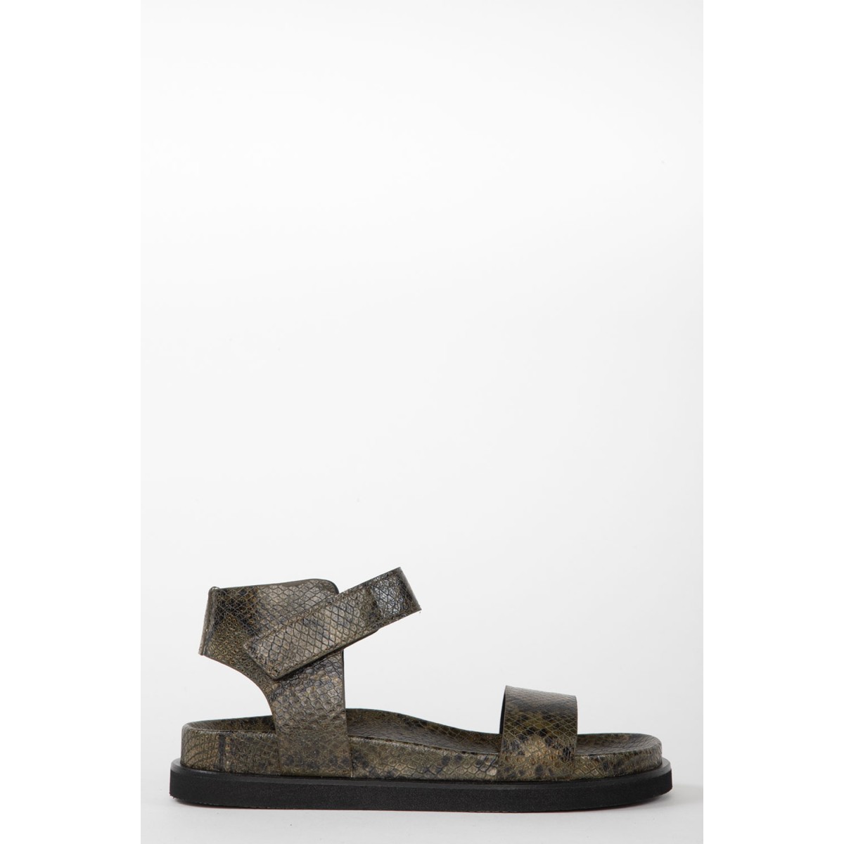 BIO 22084 BOTANIC