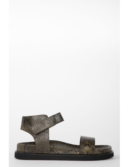 BIO 22084 BOTANIC