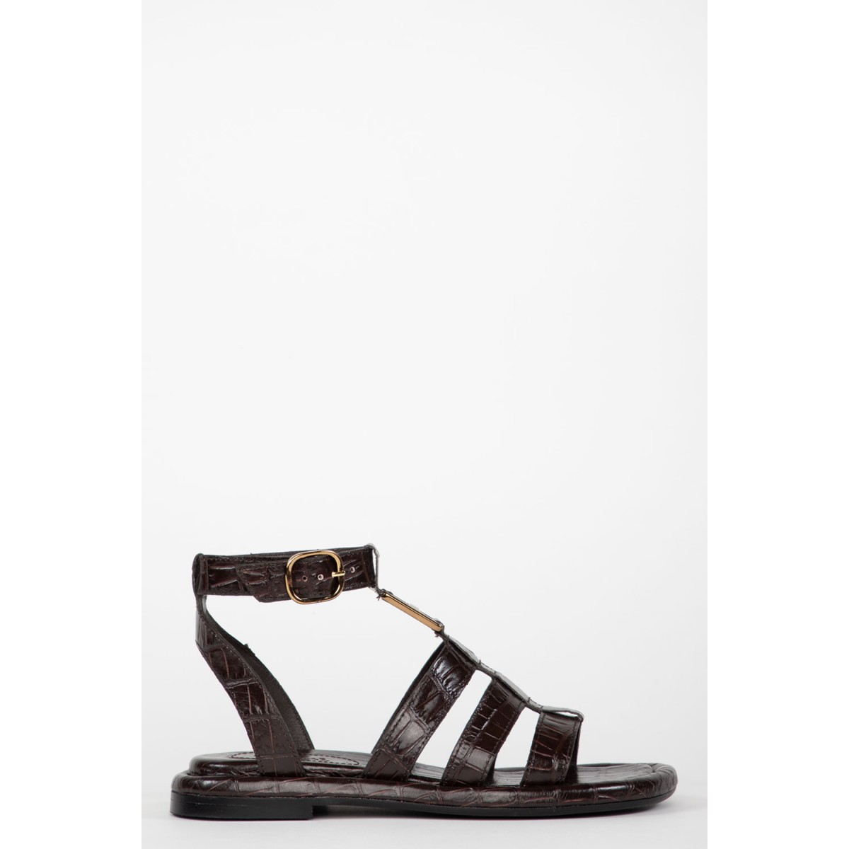 ANAIS 22196 CASTAGNA